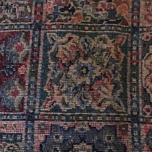 Meet your Posher, Alexandra